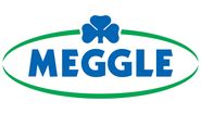 MEGGLE GmbH & Co. KG logo