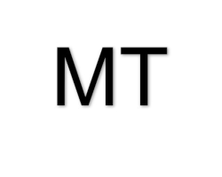 Michael Tuerk Holding GmbH logo