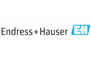 Endress+Hauser Level+Pressure Germany logo
