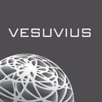 Vesuvius Europe GmbH logo