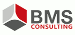 BMS Berens Mosiek Siemes Consulting GmbH logo