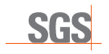 SGS Germany GmbH logo