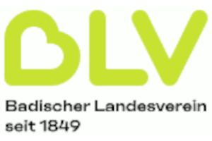 Badischer Landesverein für Innere Mission - Körperschaft des öffentlichen Rechts logo