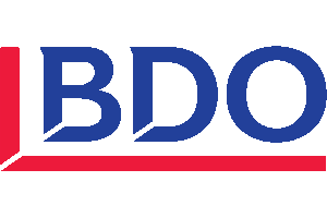 BDO DPI AG Wirtschaftsprüfungsgesellschaft logo