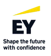 EY Corporate Solutions GmbH & Co. KG logo