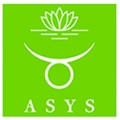 ASYS Automatic Systems GmbH & Co. KG logo