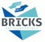 BRICKS Pflegeakademie gGmbH logo