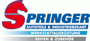 Hellmut Springer GmbH & Co. KG logo