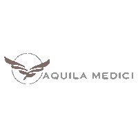 Aquila Medici GmbH logo