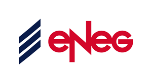 eNeG Vertrieb- und Service GmbH logo