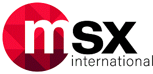 MSX International GmbH logo
