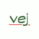 Verein für Erlebnispädagogik und Jugendsozialarbeit e.V. logo