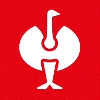 Strauss GmbH & Co. KG logo