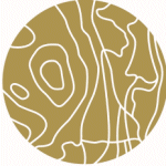 feelMOOR – das Gesundresort Bad Wurzach logo