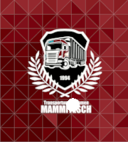 Transportunternehmen Dirk Mammitzsch Gmbh & Co. KG logo