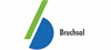 Stadt Bruchsal logo