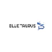 Blue Taurus GmbH logo