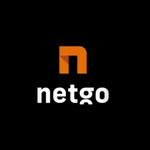 netgo group GmbH logo