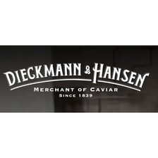 Dieckmann & Hansen GmbH logo