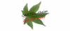 Gartengestaltung Marco Theim logo