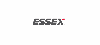 Essex Soulutions Germany GmbH` logo