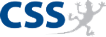 CSS logo