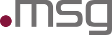 msg logo