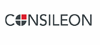 Consileon Business Consultancy GmbH logo