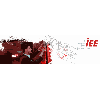 IEE logo