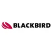 Blackbird Robotersysteme GmbH logo