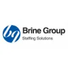 Brine Group Staffing Solutions logo