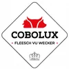 COBOLUX PRODUCTION SA logo