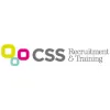 CSS logo