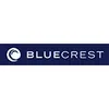 DMT Solutions Germany GmbH dba BlueCrest logo