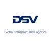 DSV Holding Germany GmbH logo