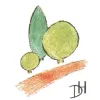Delle & Heinemann GmbH & Co. KG Garten- und Landschaftsbau logo