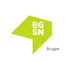 Die BGSN Gruppe logo