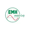 EMH metering GmbH & Co. KG logo