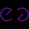 Excelsea logo