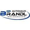 Ford Autohaus Brandl Inh. Benjamin Brandl logo