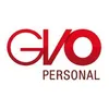 GVO Personal GmbH logo