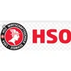 HSO Wirtschaftsschule Schweiz AG logo