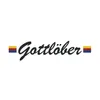 Heizungsbau Gottlöber GmbH & Co. KG logo
