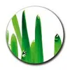 Helmich & Helmich GmbH logo