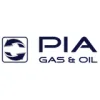P.I.A. GmbH & Co. KG logo