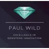 Paul Wild GmbH & Co. KG logo