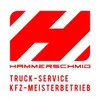 Reparaturwerkstätte Hammerschmid GmbH & Co. KG | KFZ- Service logo