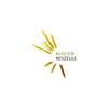 STIFTUNG STIFT NEUZELLE logo