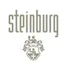 Schlosshotel Steinburg logo
