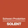 Solent Rheine GmbH & Co. KG logo